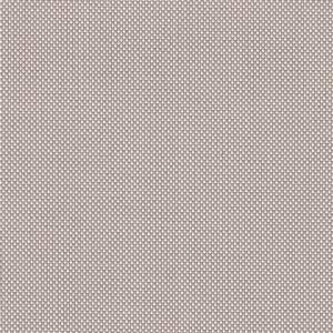 Screen Gris brume P405
