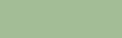 25mm - Vert eucalyptus 