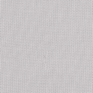 Gris clair G304